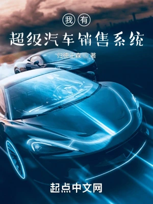 I have a super car sales system